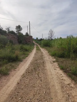 Venta finca rústica en Aldover