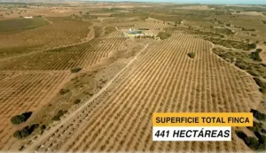 Excelente finca de 441 hectáreas en Albacete