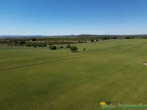 finca en venta 544 has. labor viña caza mayor