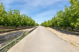 Finca Rústica en Venta – Vega Norte de Granada