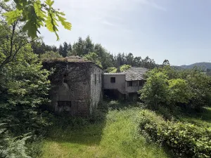 Fincas con Casas de Piedra y Eucaliptal