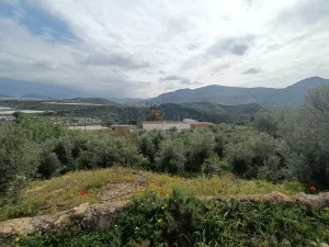 Finca olivos, cortijo 100%invernable