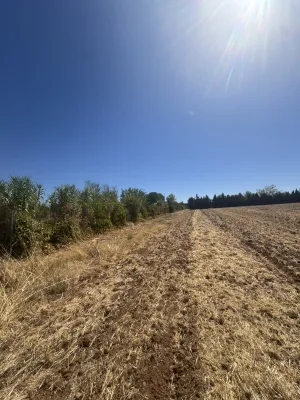 VENTA TERRENO EL CHAPARRILLO 5214 m2