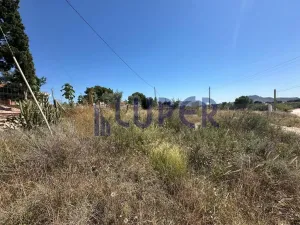 SE VENDE MAGNÍFICA FINCA RÚSTICA CON PARTE URBANA EN EL MORALET (ALICANTE)