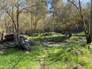 Casa con más de 14.000m2 de terreno!