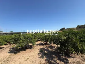 FINCA DE NARANJOS A LA VENTA EN XATIVA