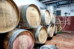 BODEGA DE AUTOR EN PRODUCCIÓN. CASI 6 HECTAREAS DE VIÑEDOS