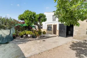 Finca en Orihuela