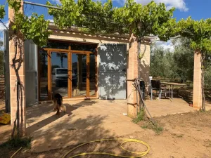 FINCA RÚSTICA EDIFICABLE EN LLUCMAJOR  (SON PIERES)