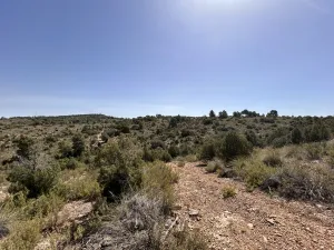 FINCA RUSTICA DE EXPLOTACION AGRICOLA