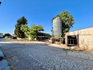 COMPLEJO GANADERO Y AGRARIO CON VIVIENDA