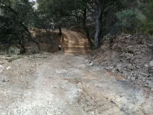 El castañar Bayarcal