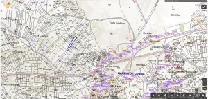 LOTE 4 FINCAS RÚSTICAS - COBREROS (ZAMORA)