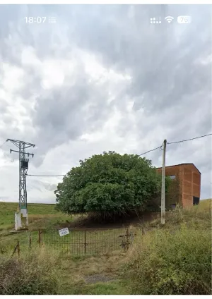 Parcela de regadío en Coria, Cáceres.