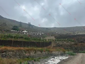 ACTIVO DE INVERSIÓN ÚNICO EN GRAN CANARIA