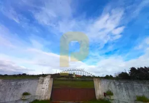 Quinta rústica