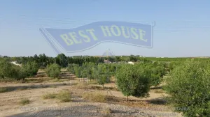 ++finca rustica en Las Torres de Cotillas++ 45.500 m. superficie parcela++