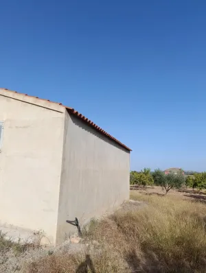 Finca rústica de 30.771 m2 con 500 almendros, 35 oliveras y almacén en Bullas