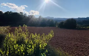 Finca Rústica con Amplias Posibilidades