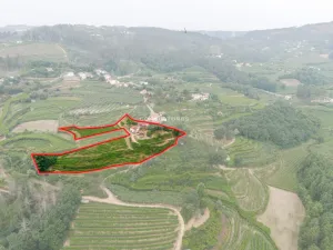 Finca Amarante