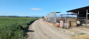 Vendo granja terneros