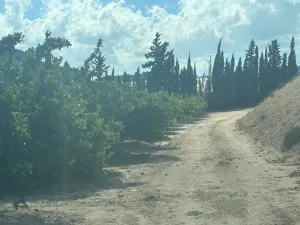FINCA EN ALHAMA DE MURCIA