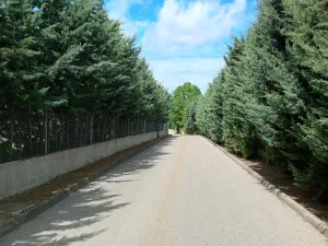 Venta de parcela urbana 4100M2