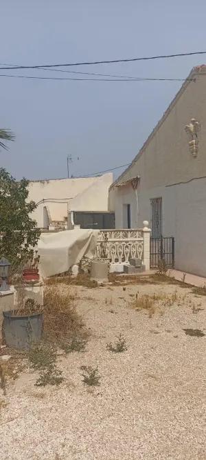 Finca rústica con vivienda y naves sobre parcela de 5.562 m2 en Elche