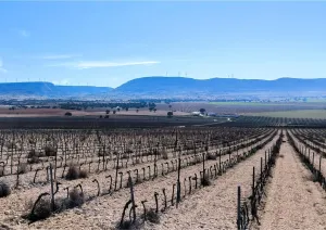 OPORTUNIDAD DE INVERSIÓN AGRÍCOLA