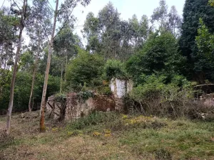 Finca en Pravia