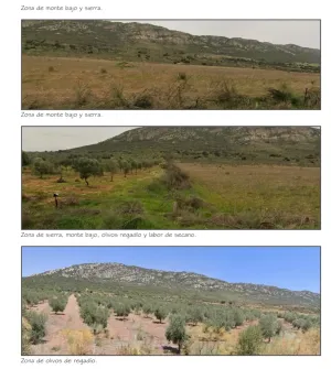 finca regadio y secano