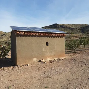 Finca cerezos y albaricoques regadío