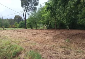 FINCA RÚSTICA CON POTENCIAL MADERABLE E INVER