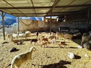 Riogordo - Colmenar 262,3 Ha Cortijo Napolín