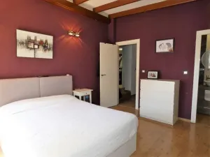 Finca en Orihuela. Alicante