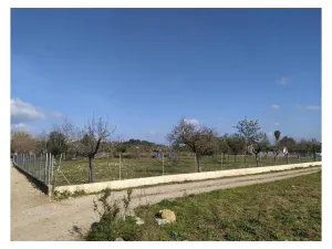 Encantadora Finca Rústica Reformada con Licencia Turística en el Corazón de la Serra de Tramuntana
