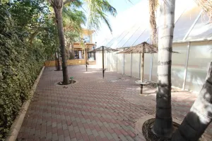 Finca Rustica Orihuela - Alicante