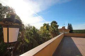 Finca Rustica Orihuela - Alicante