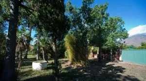 Casa Rústica en Estepona