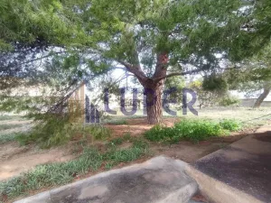 Finca Rústica en Agost, Patida Rochet