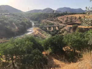 Finca en Alora - Malaga