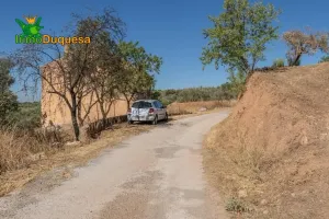 Terreno RÚSTICO con cortijo en Cogollos Vega