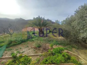 Finca Rústica en Agost, Patida Rochet