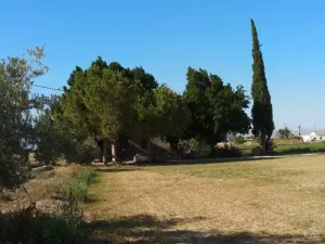 Finca en Callosa de Segura