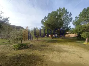 Finca Rústica en Agost, Patida Rochet