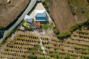 Finca en Penafiel Portugal