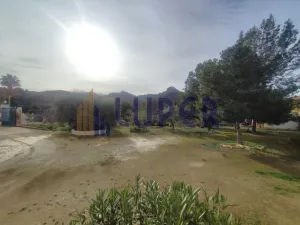 Finca Rústica en Agost, Patida Rochet