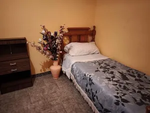 Finca rústica de 22ha con 3 viviendas, nave y zona agrícola en Camarles