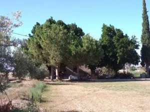 Finca en Callosa de Segura