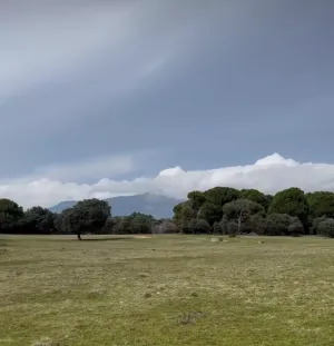 Finca rústica en pleno Valle del Tiétar